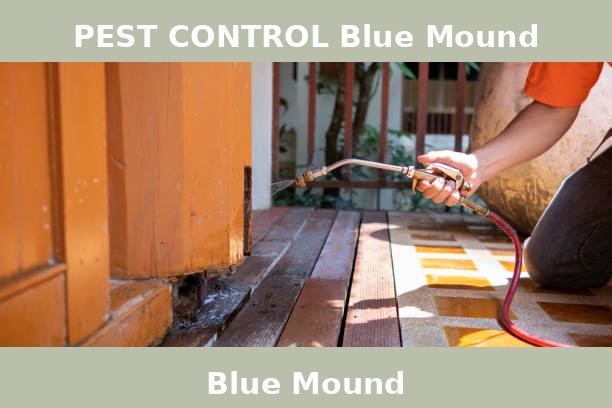 PEST CONTROL Blue Mound
